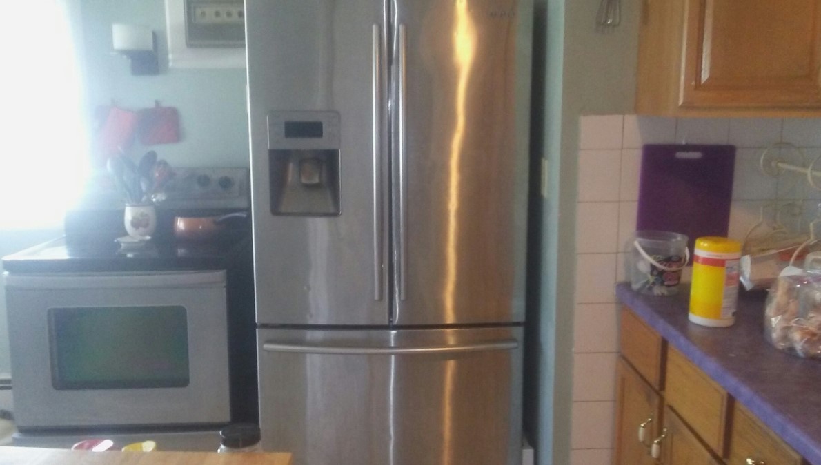 Common problems that lead to Samsung Refrigerator Repair