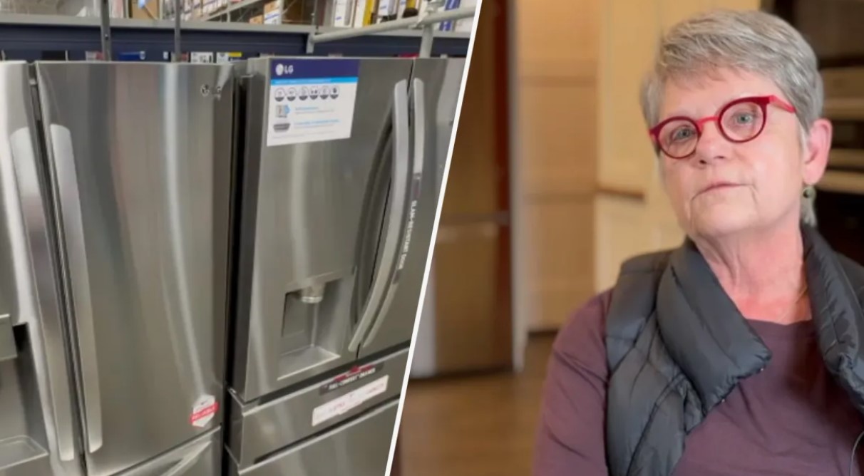 Why LG Refrigerator Repair is needed when cooling fails